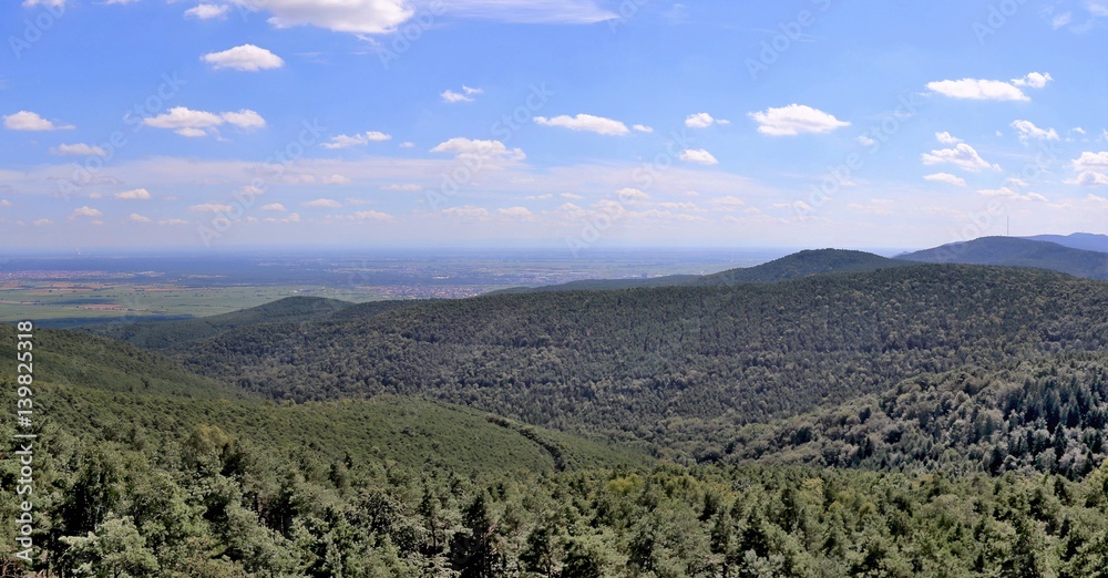 Naklejka premium Aussicht vom Eckkopftturm bei Bad Dürkheim über den Pfälzerwald