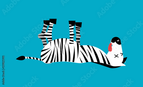 Dead Zebra. African animal deceased. Corpse of wild beast