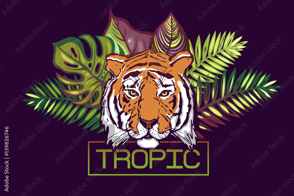 Tropic text. Card with a tropical design. The head of a tiger on a background of leaves of tropical trees:Monstera,Palm,Hibiscus. Portrait of a wild tiger predator.Template for poster, banner prints.