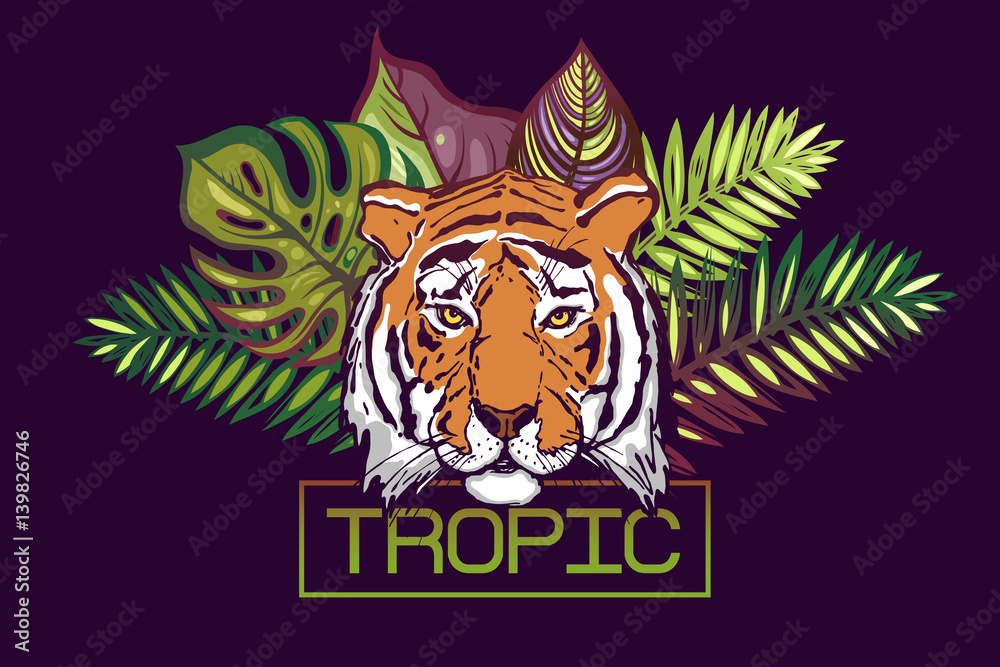 Tropic text. Card with a tropical design. The head of a tiger on a background of leaves of tropical trees:Monstera,Palm,Hibiscus. Portrait of a wild tiger predator.Template for poster, banner prints. Tropic text. Card with a tropical design. The head of a tiger on a background of leaves of tropical trees:Monstera,Palm,Hibiscus. Portrait of a wild tiger predator.Template for poster, banner prints.