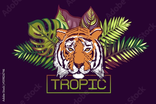 Tropic text. Card with a tropical design. The head of a tiger on a background of leaves of tropical trees:Monstera,Palm,Hibiscus. Portrait of a wild tiger predator.Template for poster, banner prints.