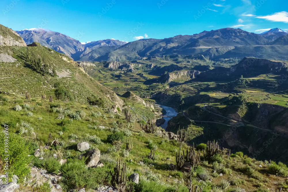 Scenic view to wonderful green Colca Canyon in springtime, Peru