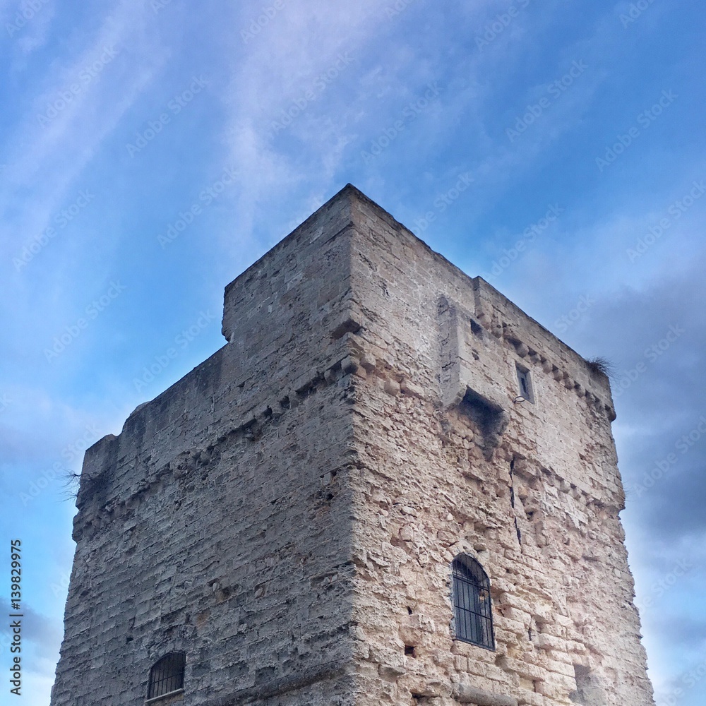 Torre Palane
