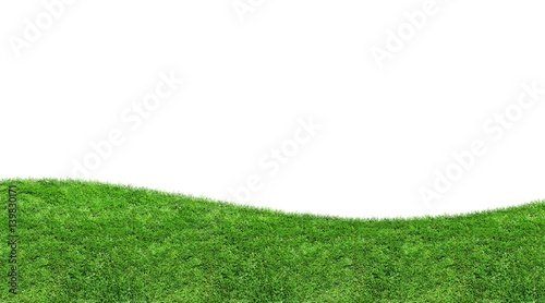 Green grass blank curve isolated