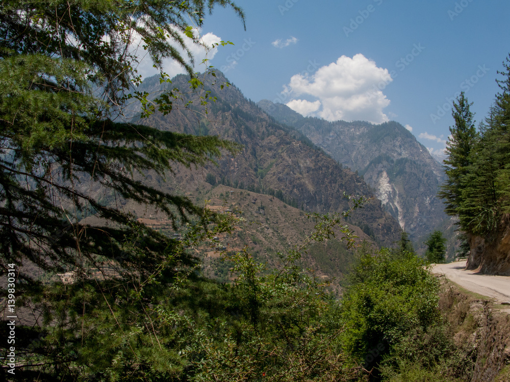 A beautiful day in the Himalayas, white clouds, and pine Himalayan surroundings of Shimla, India