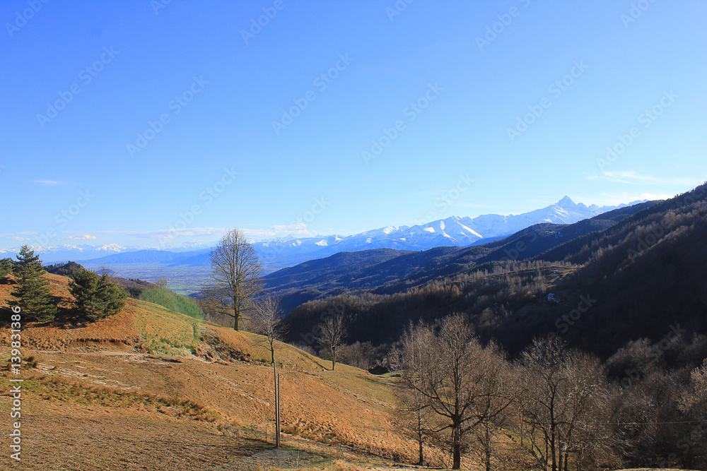 mountain landscape with trees and vegetation