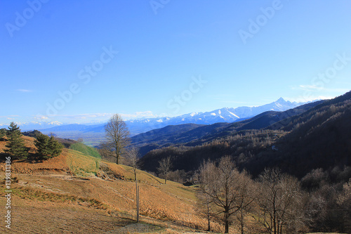 mountain landscape with trees and vegetation