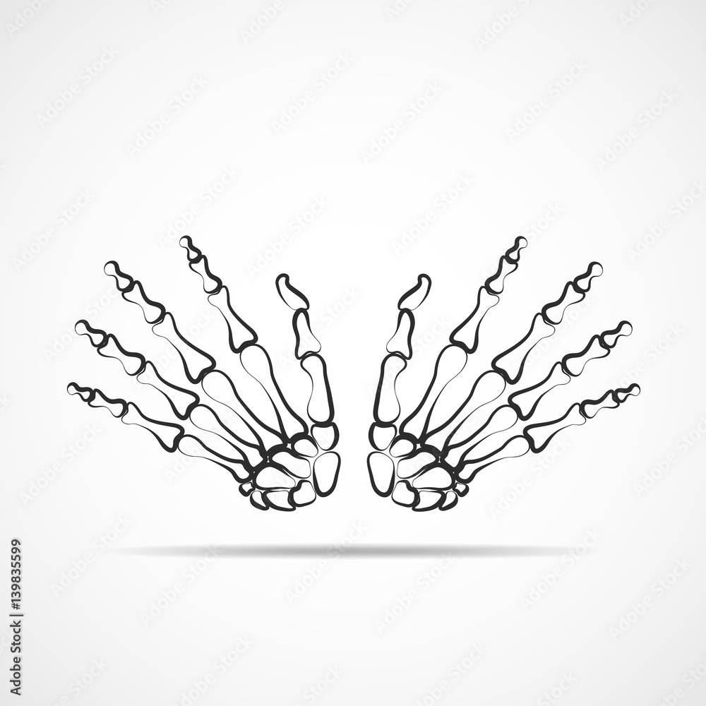 Skeleton hand. Vector illustration. Skeleton hand. Vector illustration.
