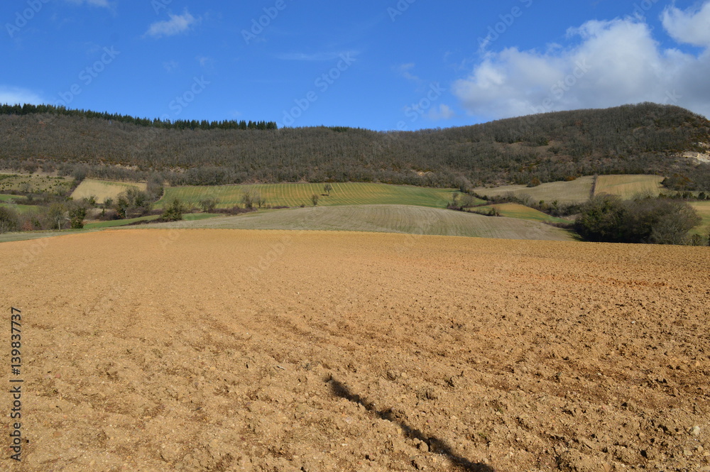 Champs d'Aveyron
