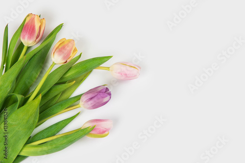 Fototapeta Naklejka Na Ścianę i Meble -  Tulips on darken concrete background