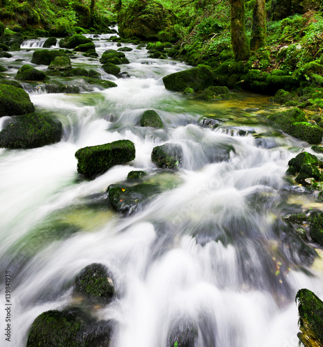 Wasserfall im Wald