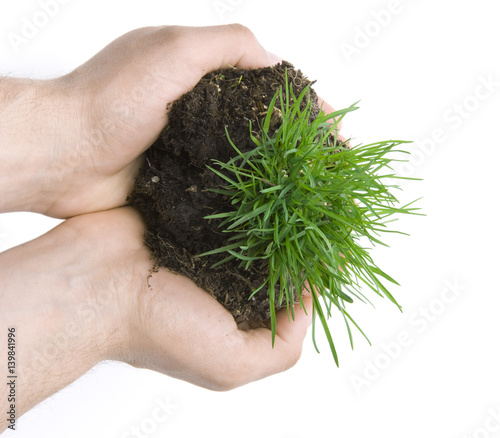 Grasbüschel in der Hand