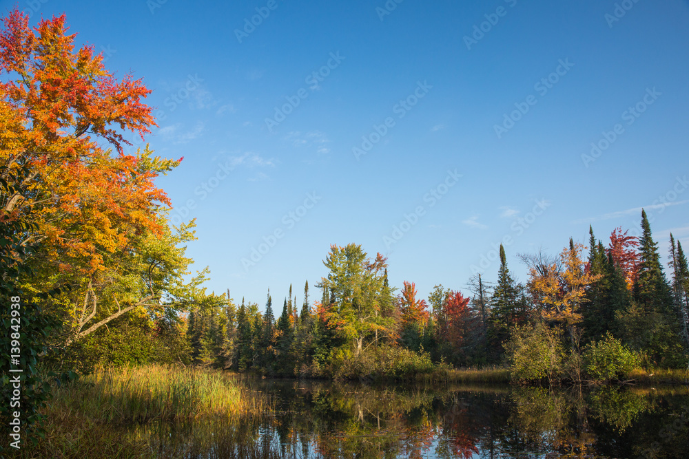 Fototapeta premium Bonnechere Provincial Park