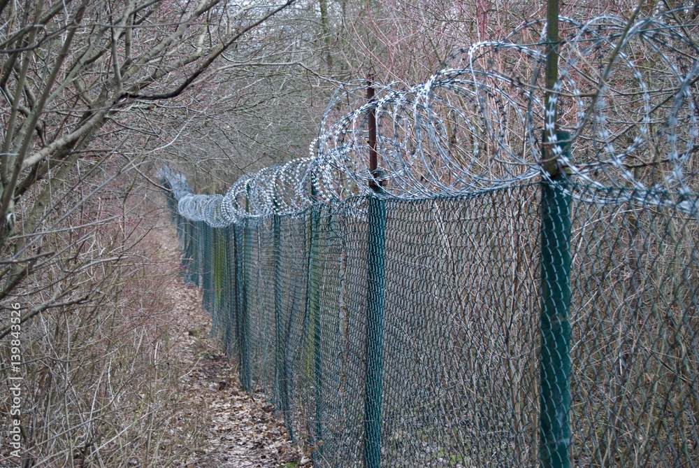 barbed wire fence hidden in a forrest barbed wire fence hidden in a forrest
