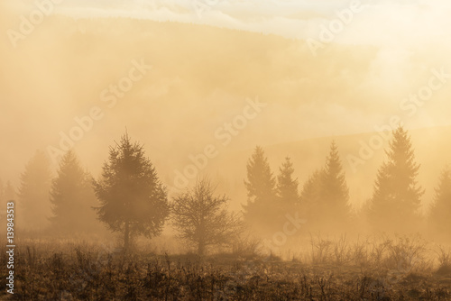 Fototapeta Naklejka Na Ścianę i Meble -  Autumn Landscape with mist and sun