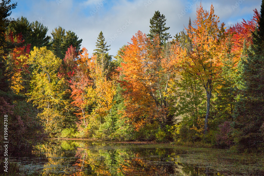 Bonnechere Provincial Park