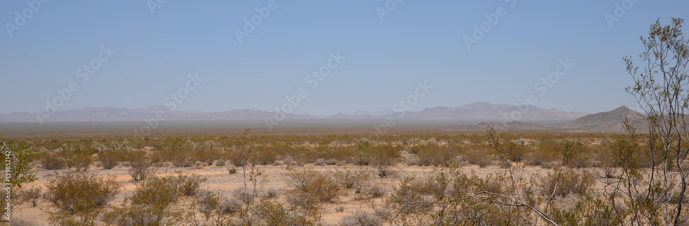 southwest landscape