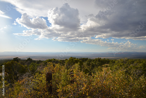 dramatic clouds above forest and desert landscape