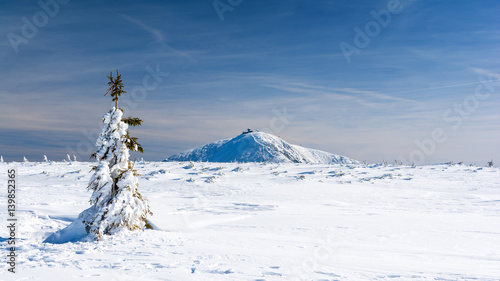 Karkonosze / Krkonose Mountains in Winter, Mount Sniezka, Poland, Czech republic photo
