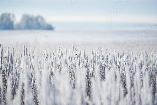Zimowy krajobraz pól.