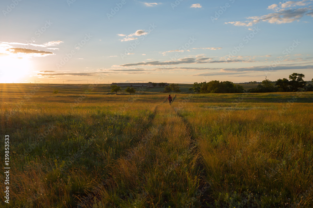 Traveler walks along the prairie in the rays of the setting sun