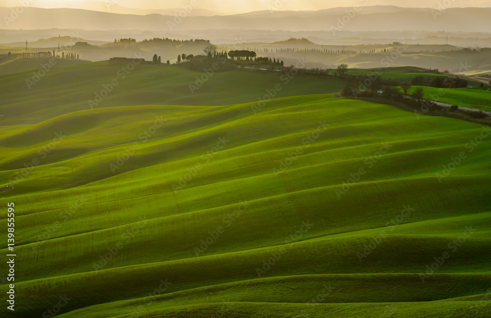 Scenic view of a tuscany countryside near Siena, Italy