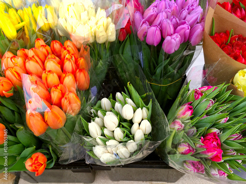 Multicolored tulips.