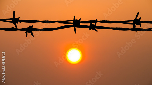 Silhouette of barbed wire over sunset sky, abstract background
