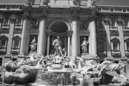 fountain of trevi - Rome