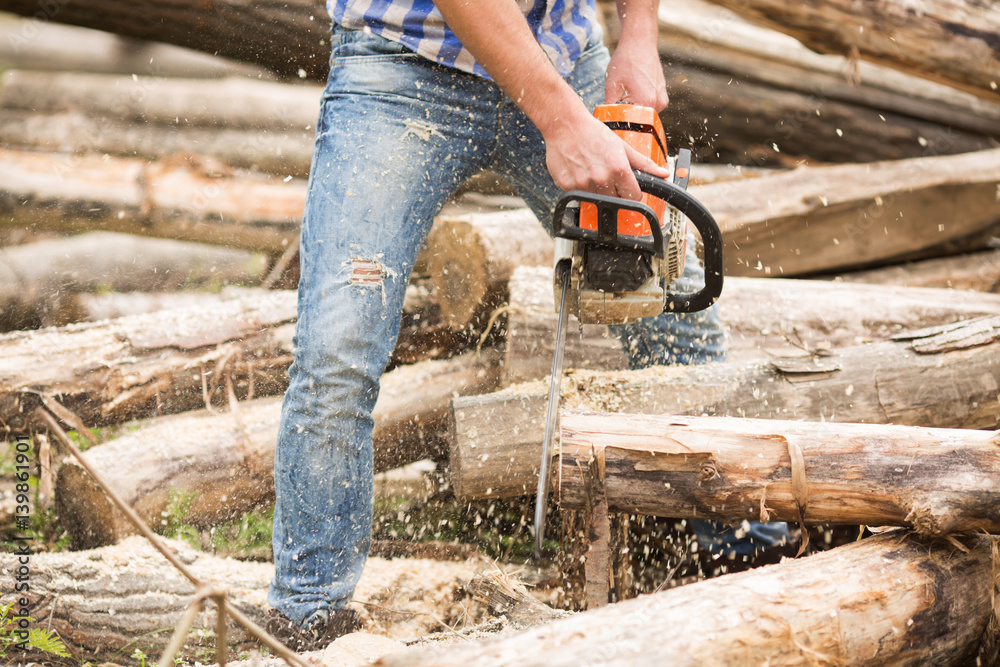 Guy cuts wood with a chainsaw Guy cuts wood with a chainsaw