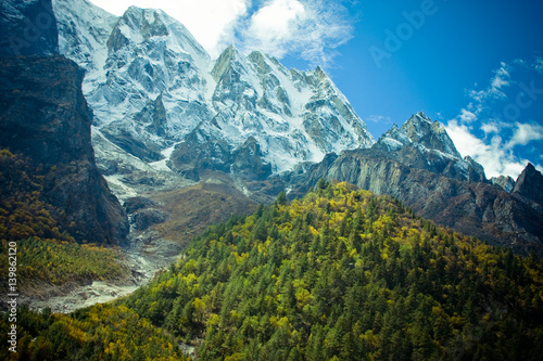 Forest in mountains valley Himalayas