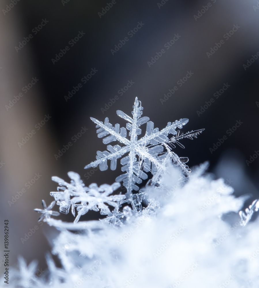 natural snowflakes on snow, photo real snowflakes during a snowfall, under natural conditions at low temperature
