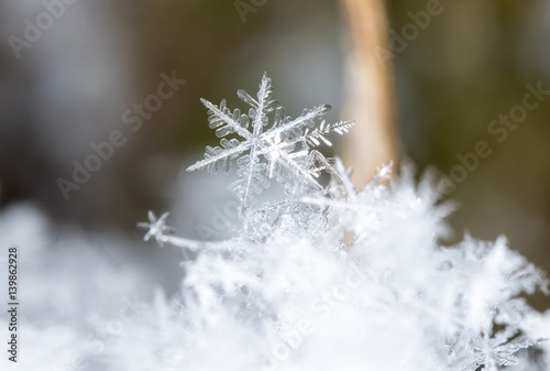 natural snowflakes on snow, photo real snowflakes during a snowfall, under natural conditions at low temperature