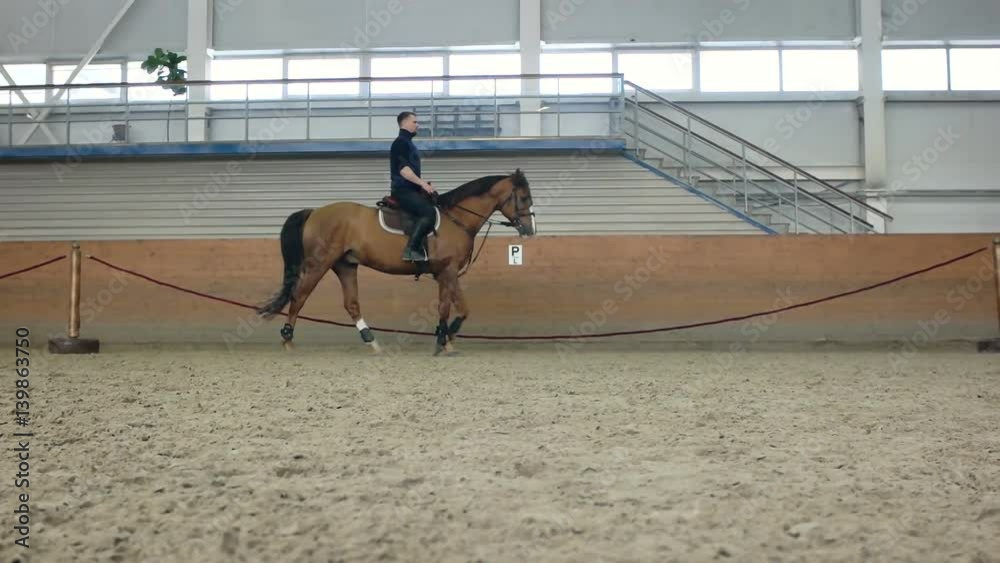 A man riding a brown horse around the arena. . Don horse breed. A man riding a brown horse around the arena. . Don horse breed.