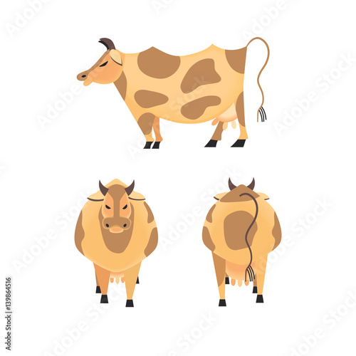Domestic Animal icon set. Dairy cattle sign. Freehand drawn cartoon style. Vector Milk cow symbol. Side view, front, back. Mammals element for poster background. Farming cow with udder, horns, hoofs