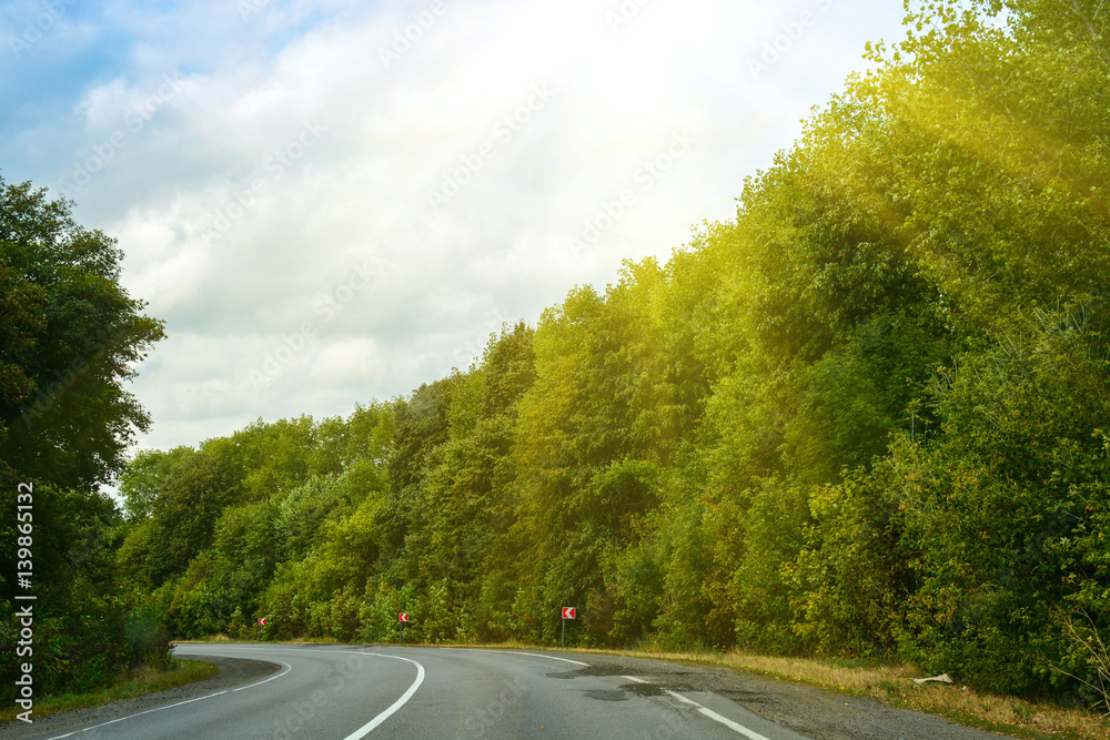 Empty asphalt road in green forest, summer travel landscape, traveling and nature background with sunshine