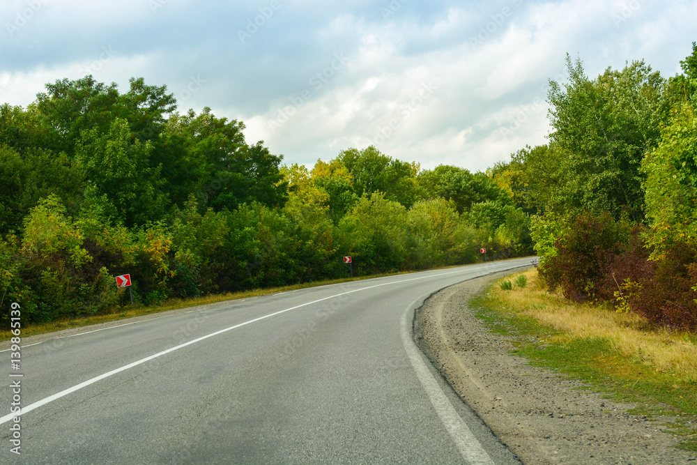 Empty asphalt road in green forest, summer travel landscape, traveling and nature background