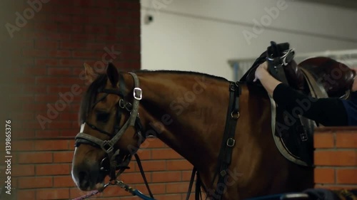 Man carrying horses saddle. Putting saddle on horse. Man put saddle on his horse for riding. photo