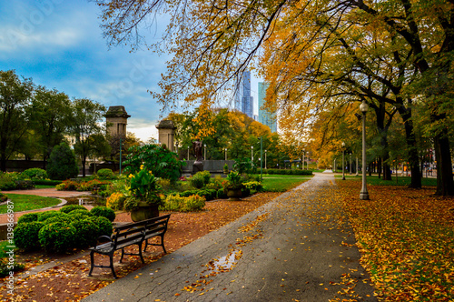 overview of chicago city in the state of Illinois