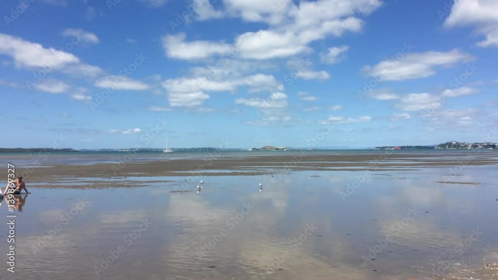 Landscape of Rangitoto Island Auckland New Zealand Landscape of Rangitoto Island Auckland New Zealand