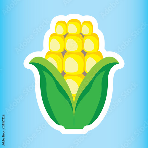 Illustration icon of fruit and sereal healthy corn on the cob. Ideal for nutritional and food education materials