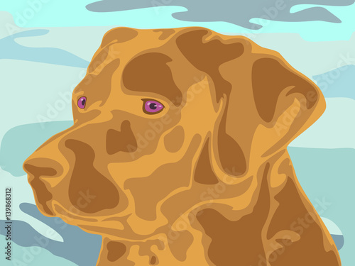 vector illustration of labrador's head in original style