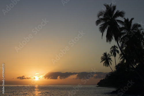 Palm trees and a Maui sunset © BRUCE
