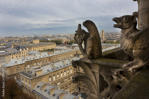 Gargoyle, Notre Dame, Paris, France