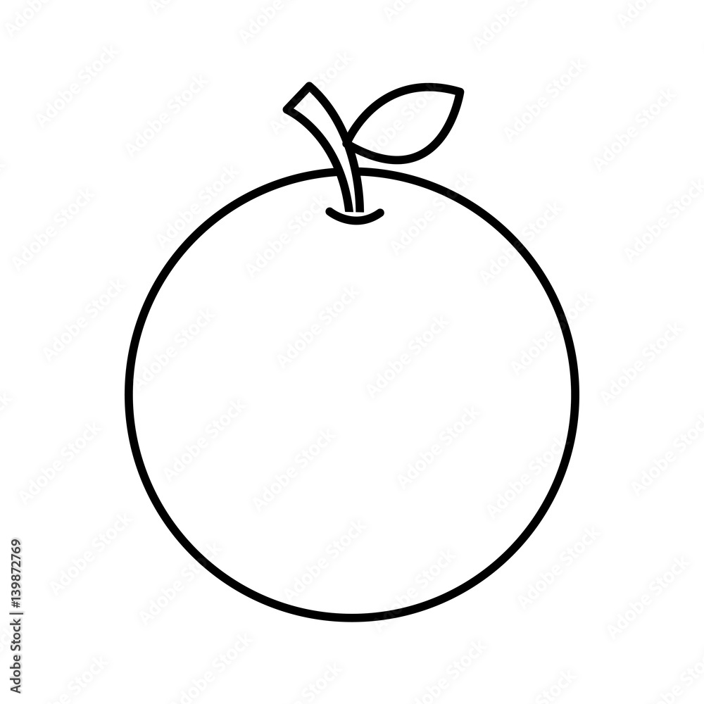 orange fresh fruit drawing icon vector illustration design