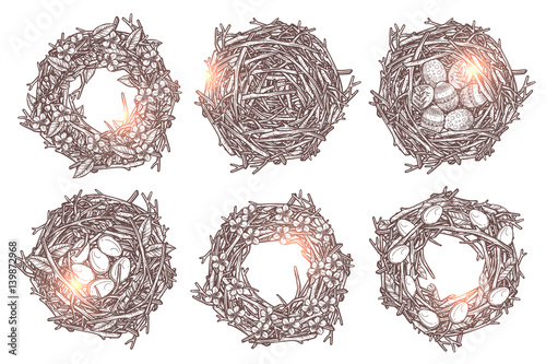 Set Of Six Hand Drawn Branches Wreaths And Bird Nests. Sketch Monochrome Happy Easter Nature Decorations