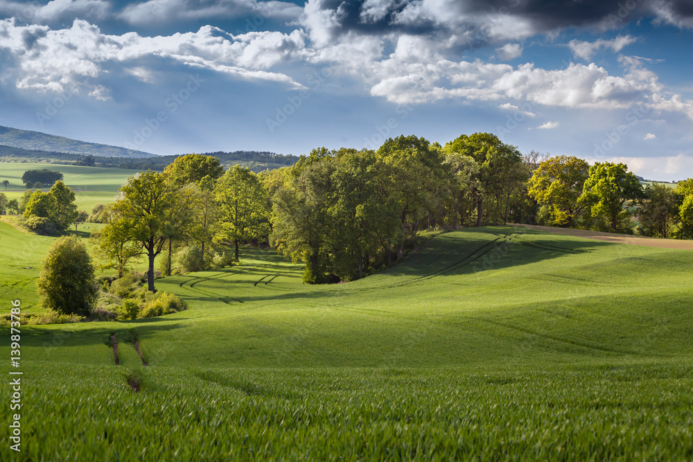 Naklejka premium Farmland
