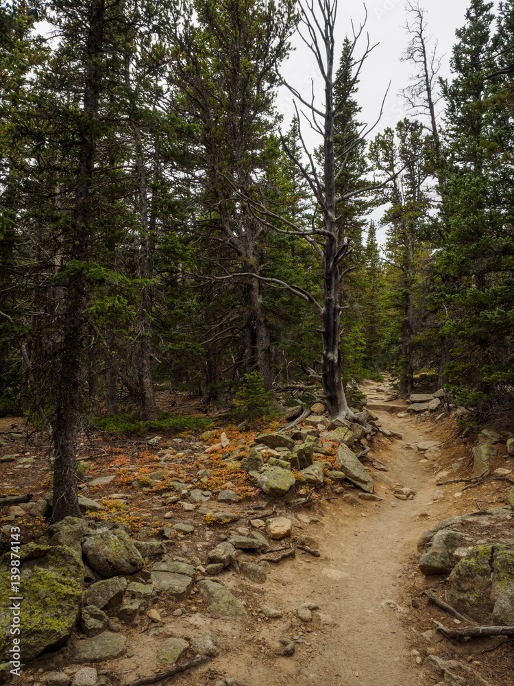 Rocky Mountain National Park Hiking Trail Rocky Mountain National Park Hiking Trail