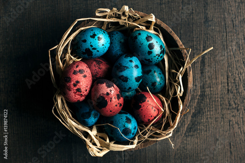 Colorful Easter eggs in the nest photo