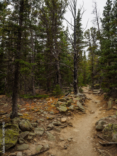Rocky Mountain National Park Hiking Trail
